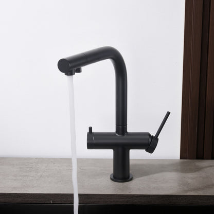 Aquavit Cylin Two-Function Kitchen Faucet with Built-In Filtration Handle FF15001
