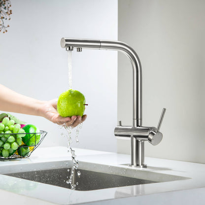 Aquavit Single-Hole Dual Handle Pull-Out Spout with Water Filtering FF15101