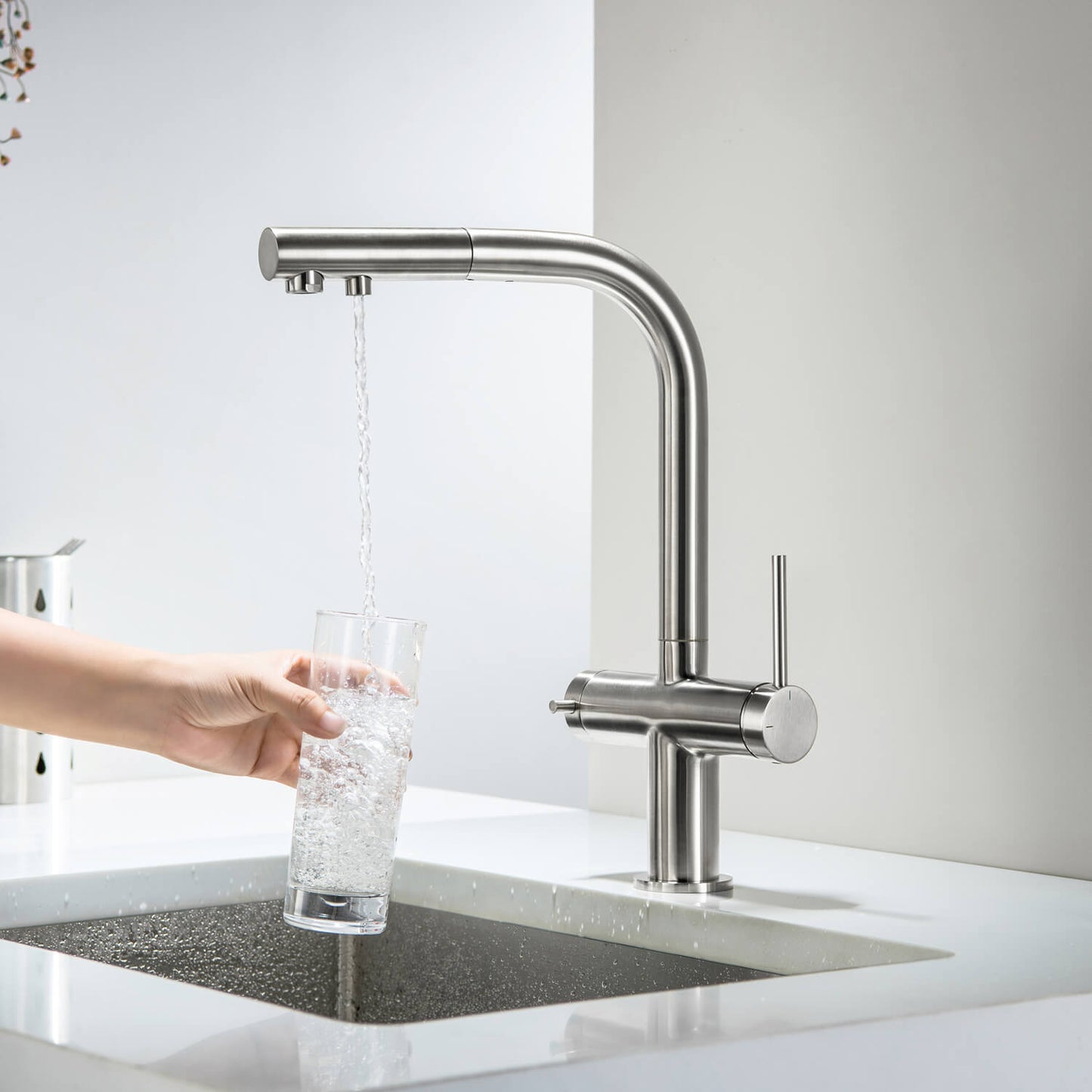 Aquavit Single-Hole Dual Handle Pull-Out Spout with Water Filtering FF15101