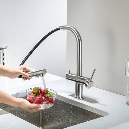Aquavit Single-Hole Dual Handle Pull-Out Spout with Water Filtering FF15101