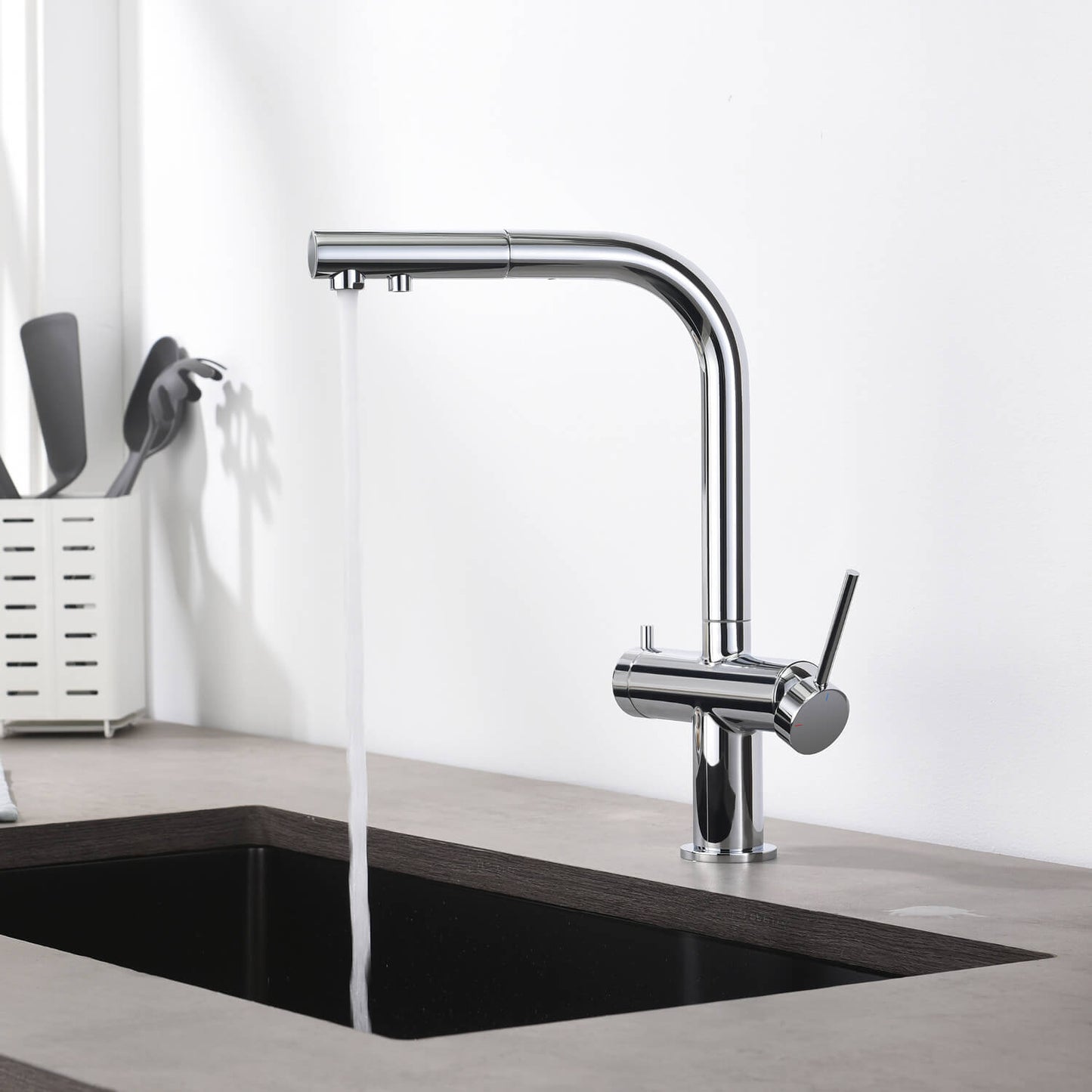 Aquavit Single-Hole Dual Handle Pull-Out Spout with Water Filtering FF15101