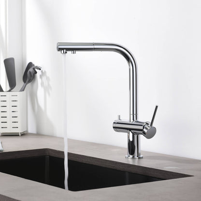 Aquavit Single-Hole Dual Handle Pull-Out Spout with Water Filtering FF15101