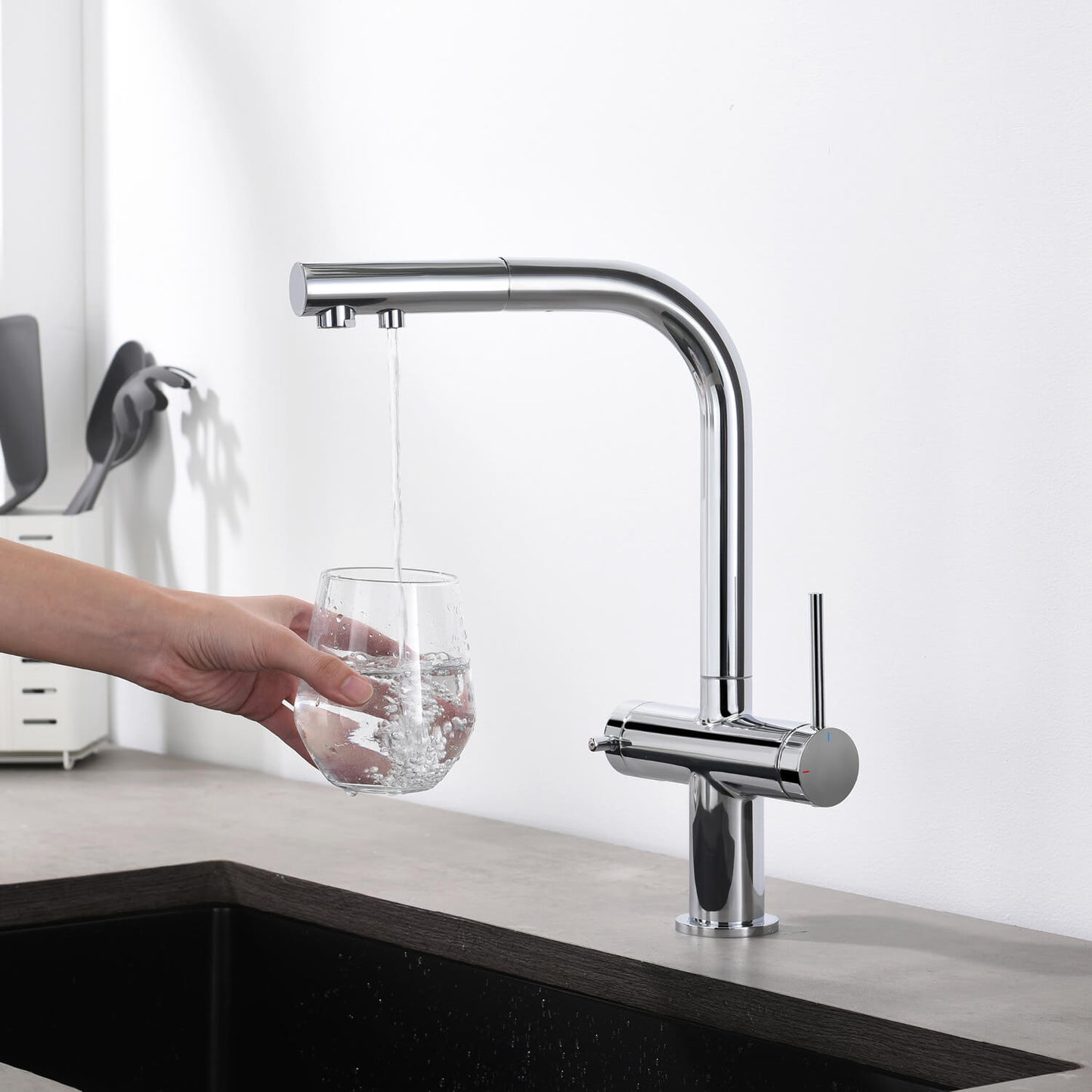 Aquavit Single-Hole Dual Handle Pull-Out Spout with Water Filtering FF15101