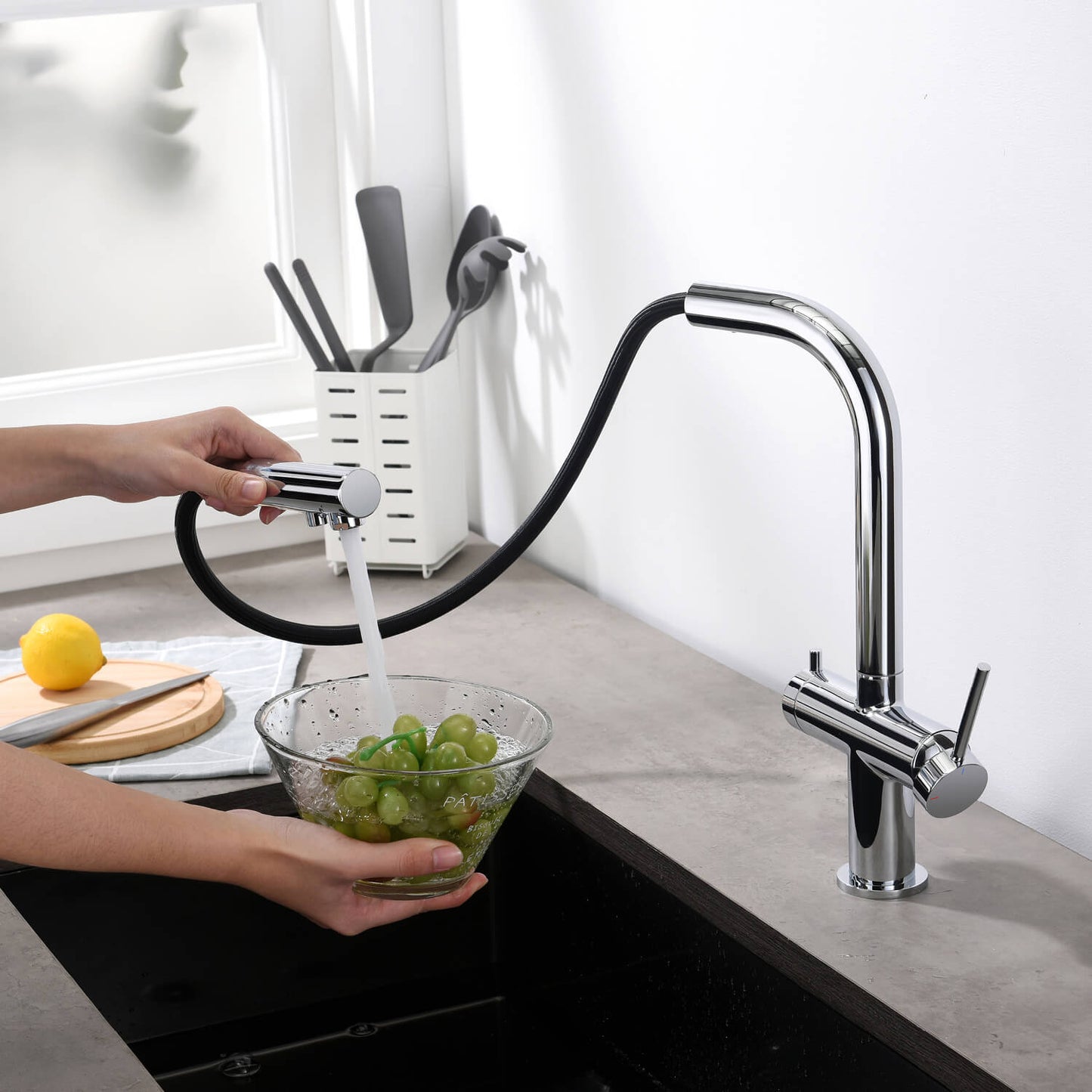 Aquavit Single-Hole Dual Handle Pull-Out Spout with Water Filtering FF15101