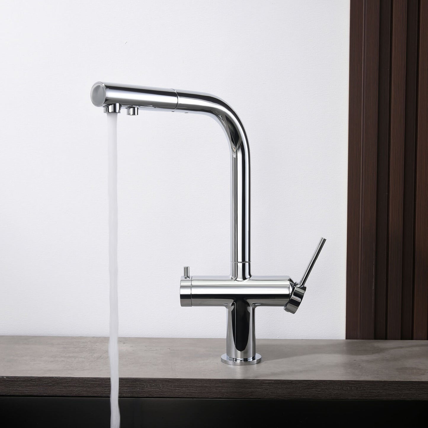 Aquavit Single-Hole Dual Handle Pull-Out Spout with Water Filtering FF15101