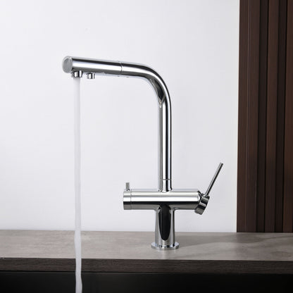 Aquavit Single-Hole Dual Handle Pull-Out Spout with Water Filtering FF15101