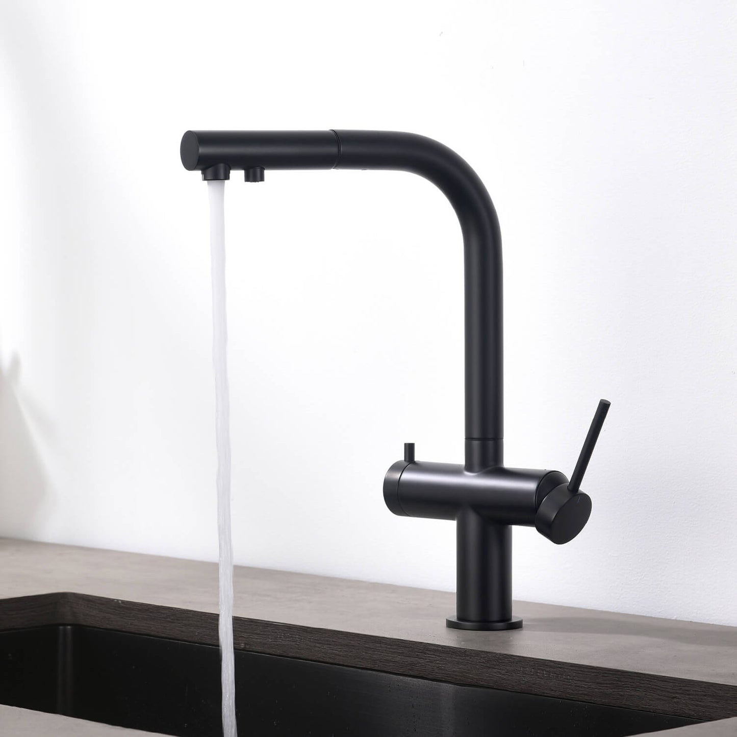 Aquavit Single-Hole Dual Handle Pull-Out Spout with Water Filtering FF15101