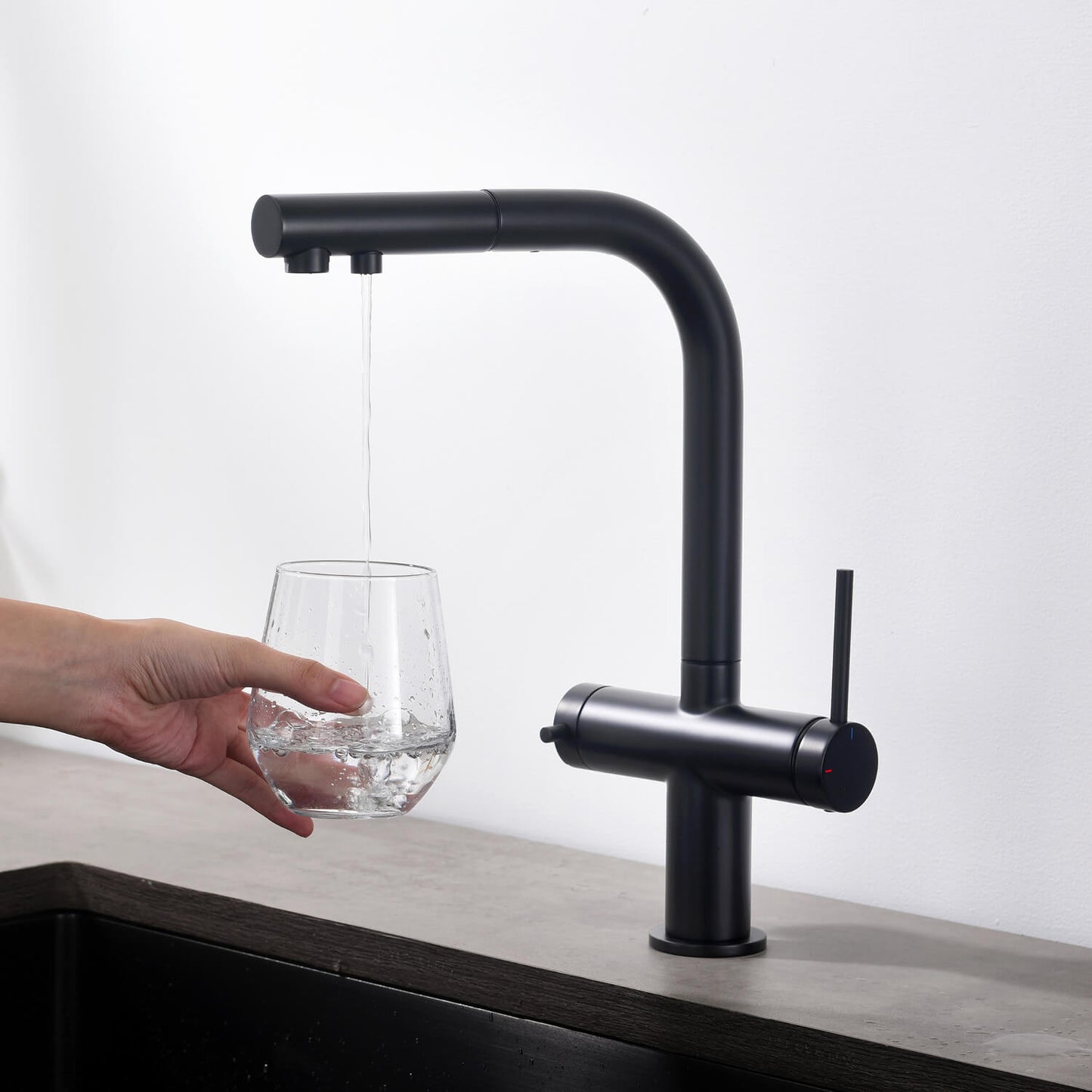 Aquavit Single-Hole Dual Handle Pull-Out Spout with Water Filtering FF15101
