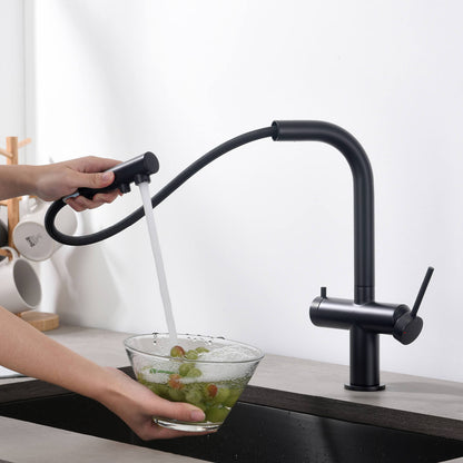 Aquavit Single-Hole Dual Handle Pull-Out Spout with Water Filtering FF15101