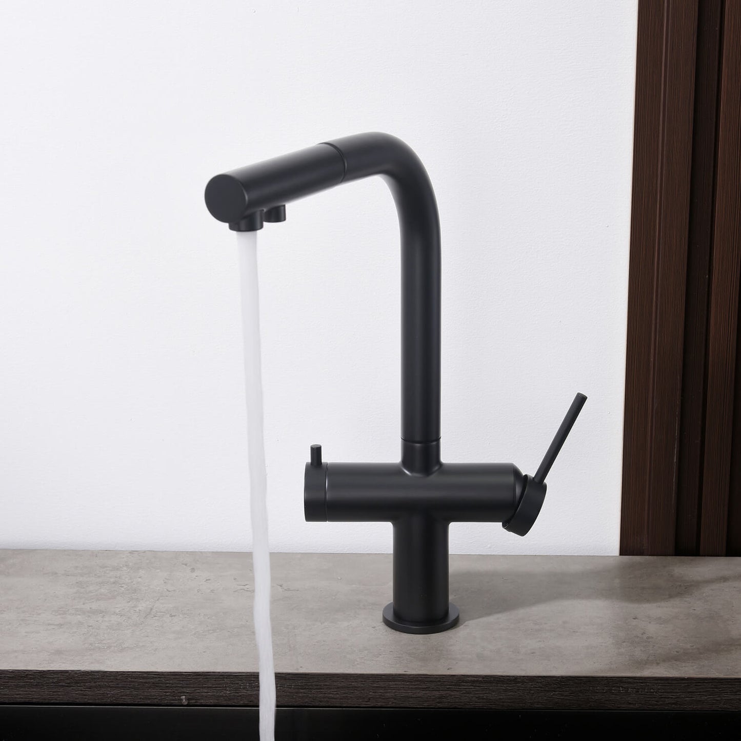 Aquavit Single-Hole Dual Handle Pull-Out Spout with Water Filtering FF15101