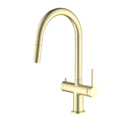 Aquavit Pull Down filtration kitchen faucet FF15102