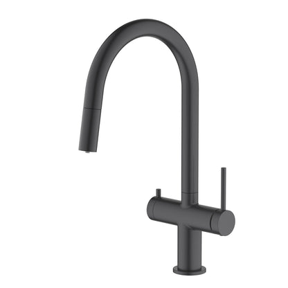 Aquavit Pull Down filtration kitchen faucet FF15102