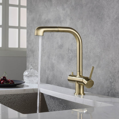 Solid Lead-Free Brass Pull-Out Kitchen Faucet with water filter FF2011