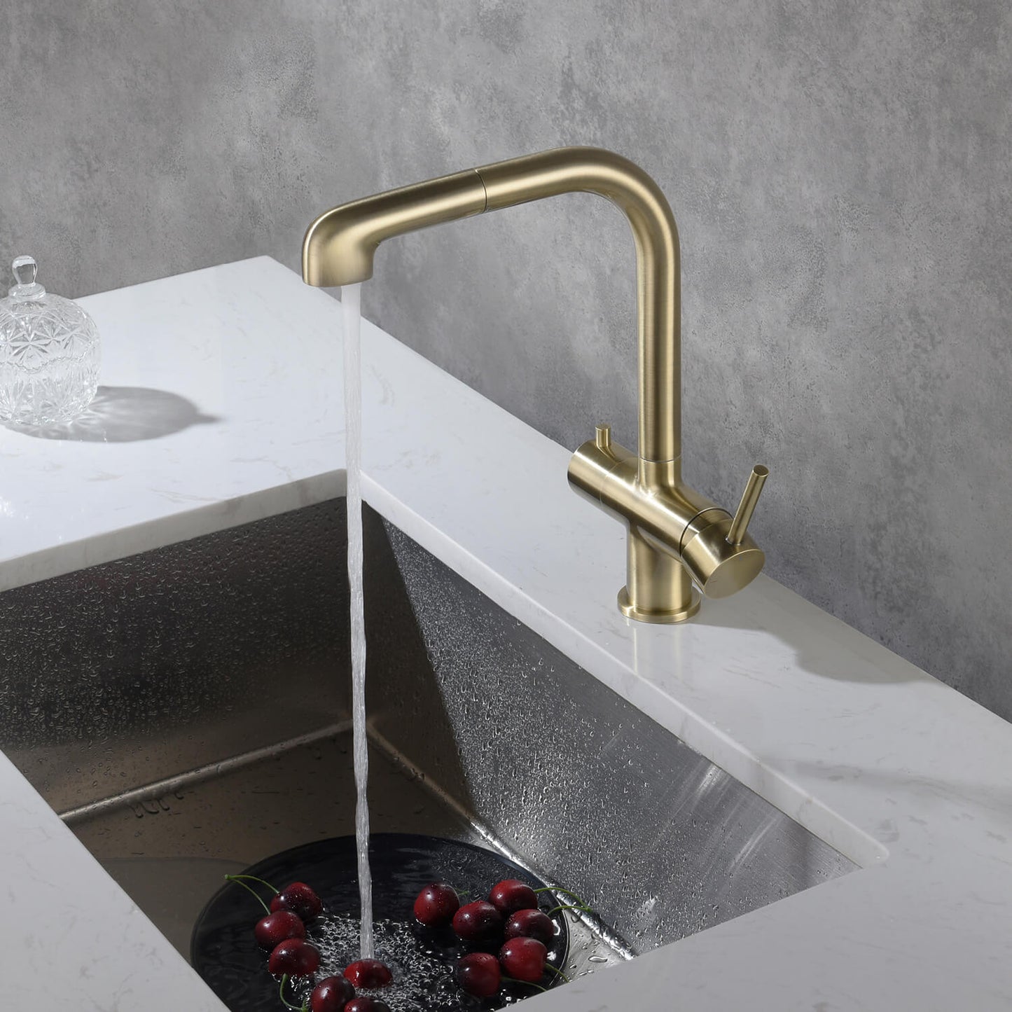 Solid Lead-Free Brass Pull-Out Kitchen Faucet with water filter FF2011