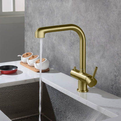 Solid Lead-Free Brass Pull-Out Kitchen Faucet with water filter FF2011