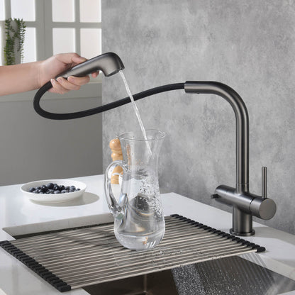 Solid Lead-Free Brass Pull-Out Kitchen Faucet with water filter FF2011