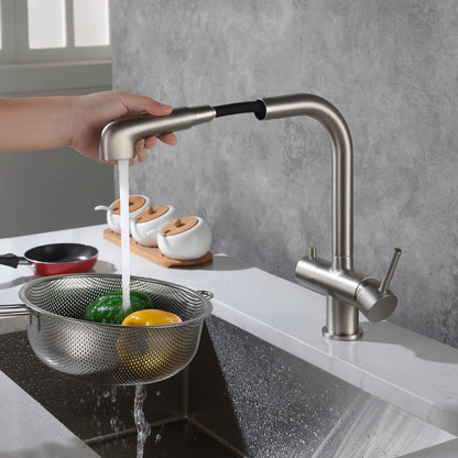 Solid Lead-Free Brass Pull-Out Kitchen Faucet with water filter FF2011