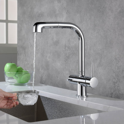 Solid Lead-Free Brass Pull-Out Kitchen Faucet with water filter FF2011