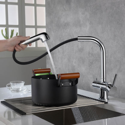Solid Lead-Free Brass Pull-Out Kitchen Faucet with water filter FF2011
