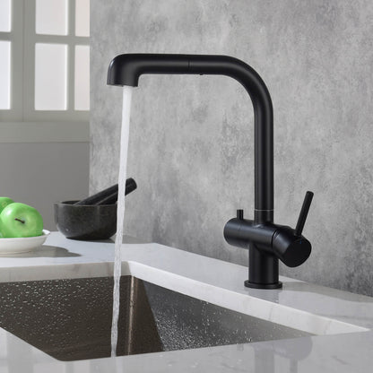 Solid Lead-Free Brass Pull-Out Kitchen Faucet with water filter FF2011