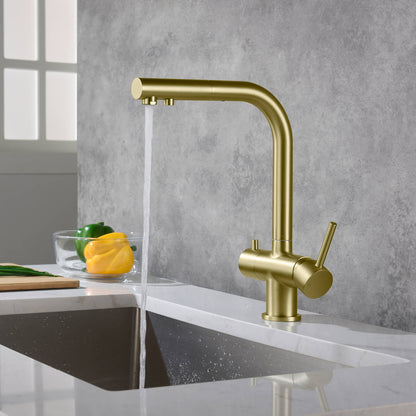 Aquavit Pull-Out Kitchen Faucet with Dual Control and Filter Compatibility - Model FF2012