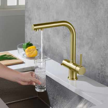 Aquavit Pull-Out Kitchen Faucet with Dual Control and Filter Compatibility - Model FF2012