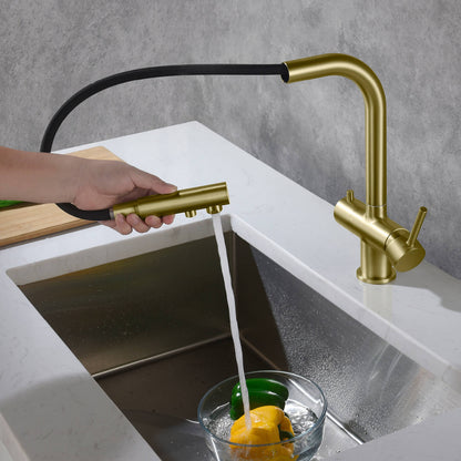 Aquavit Pull-Out Kitchen Faucet with Dual Control and Filter Compatibility - Model FF2012