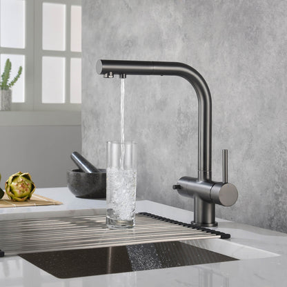 Aquavit Pull-Out Kitchen Faucet with Dual Control and Filter Compatibility - Model FF2012