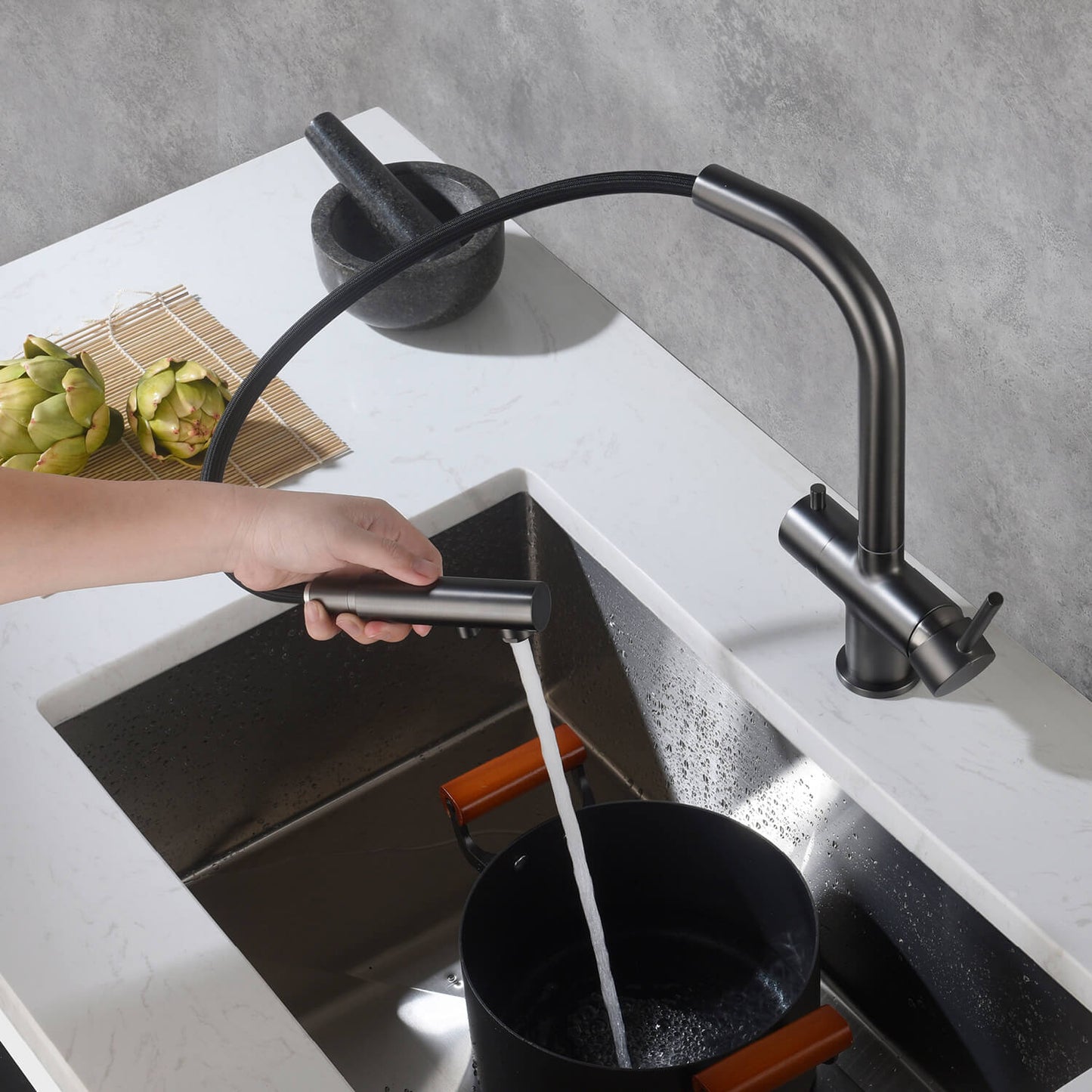 Aquavit Pull-Out Kitchen Faucet with Dual Control and Filter Compatibility - Model FF2012