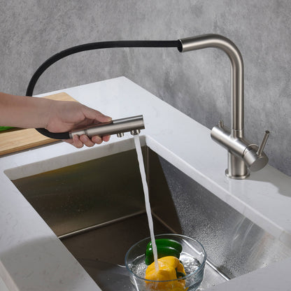 Aquavit Pull-Out Kitchen Faucet with Dual Control and Filter Compatibility - Model FF2012
