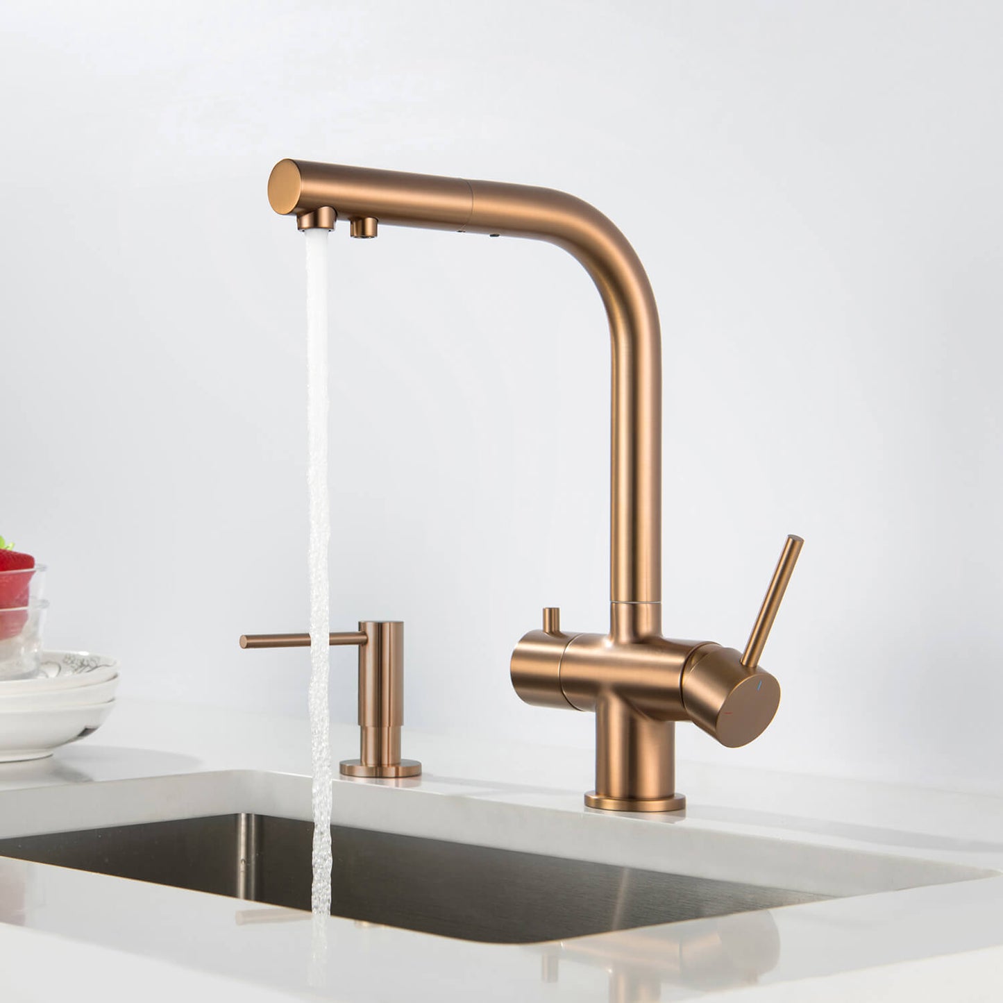Aquavit Pull-Out Kitchen Faucet with Dual Control and Filter Compatibility - Model FF2012