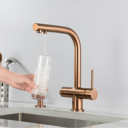 Aquavit Pull-Out Kitchen Faucet with Dual Control and Filter Compatibility - Model FF2012