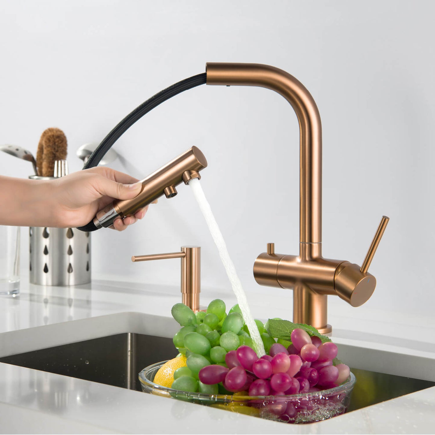 Aquavit Pull-Out Kitchen Faucet with Dual Control and Filter Compatibility - Model FF2012