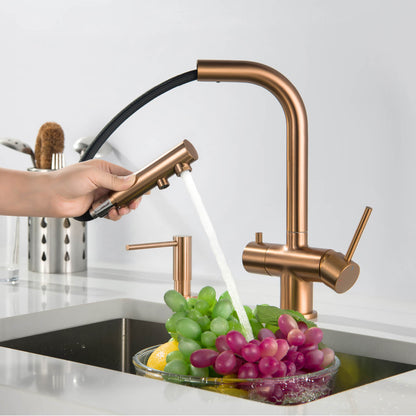 Aquavit Pull-Out Kitchen Faucet with Dual Control and Filter Compatibility - Model FF2012