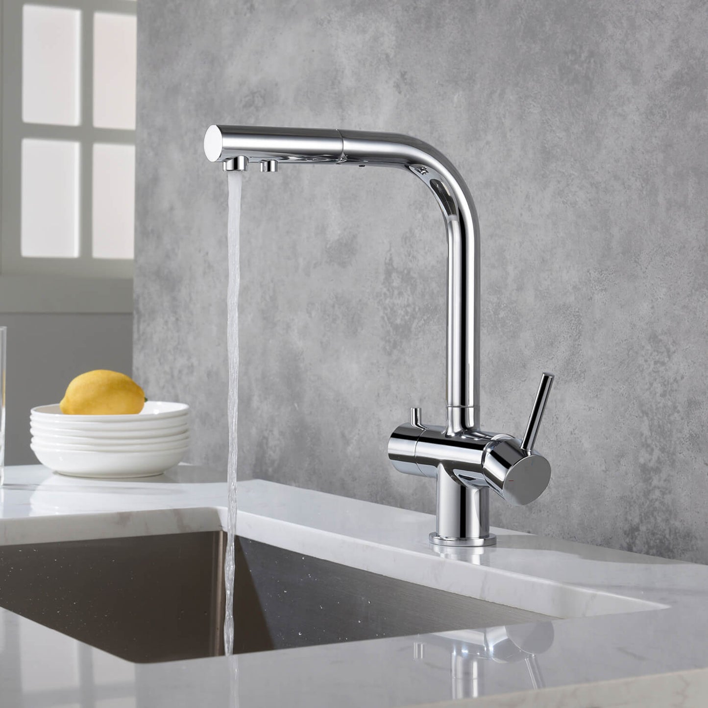Aquavit Pull-Out Kitchen Faucet with Dual Control and Filter Compatibility - Model FF2012
