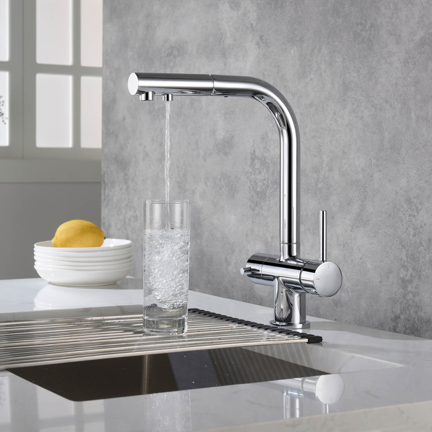Aquavit Pull-Out Kitchen Faucet with Dual Control and Filter Compatibility - Model FF2012