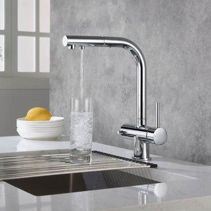 Aquavit Pull-Out Kitchen Faucet with Dual Control and Filter Compatibility - Model FF2012