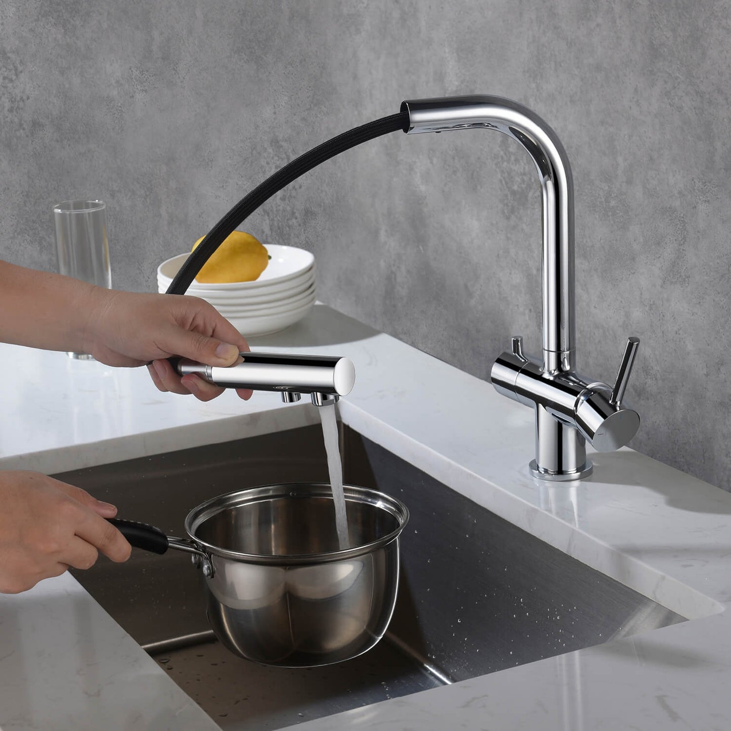 Aquavit Pull-Out Kitchen Faucet with Dual Control and Filter Compatibility - Model FF2012