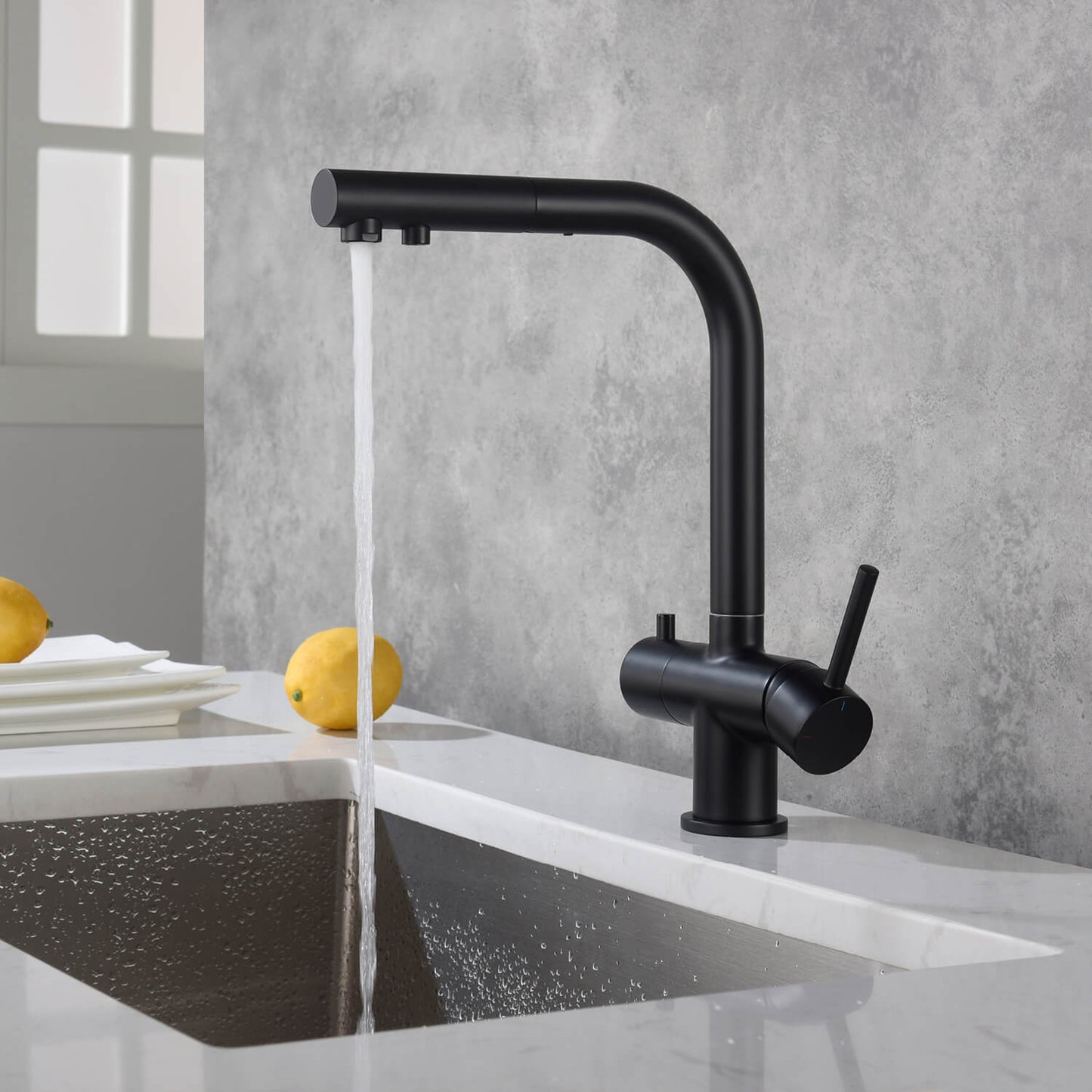 Aquavit Pull-Out Kitchen Faucet with Dual Control and Filter Compatibility - Model FF2012
