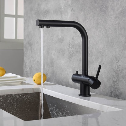 Aquavit Pull-Out Kitchen Faucet with Dual Control and Filter Compatibility - Model FF2012