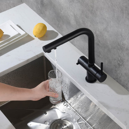 Aquavit Pull-Out Kitchen Faucet with Dual Control and Filter Compatibility - Model FF2012