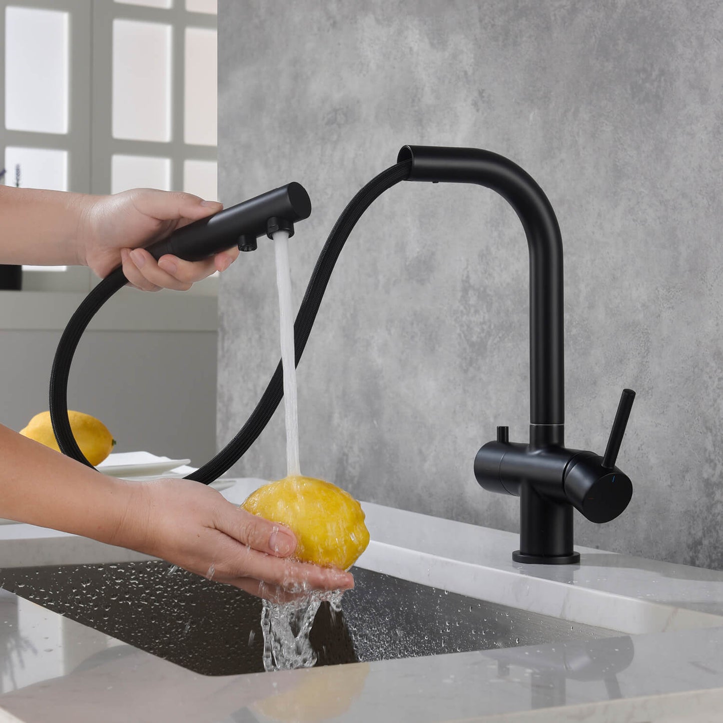 Aquavit Pull-Out Kitchen Faucet with Dual Control and Filter Compatibility - Model FF2012