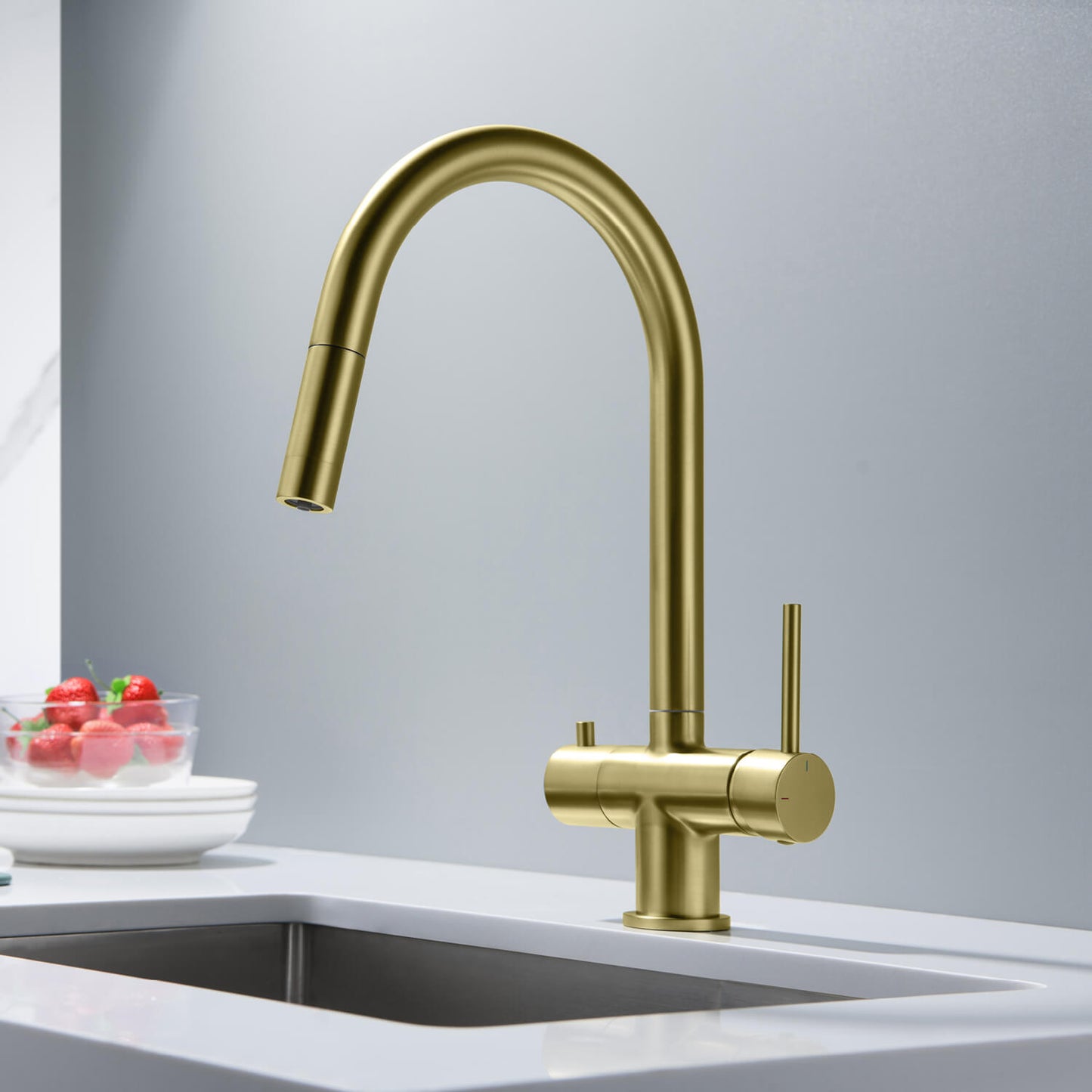 Premium Pull-Down Kitchen Faucet with Drinking Water Function FF2013