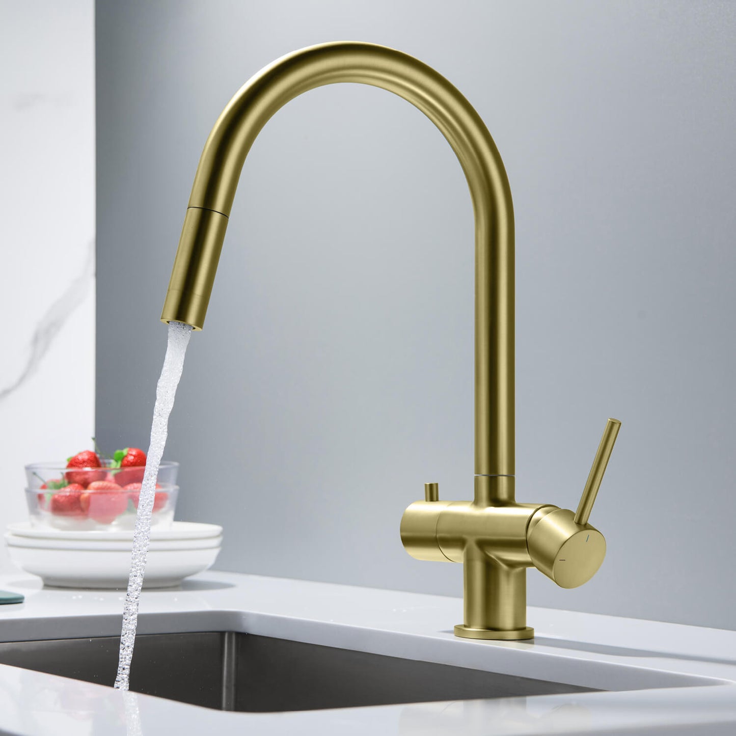 Premium Pull-Down Kitchen Faucet with Drinking Water Function FF2013