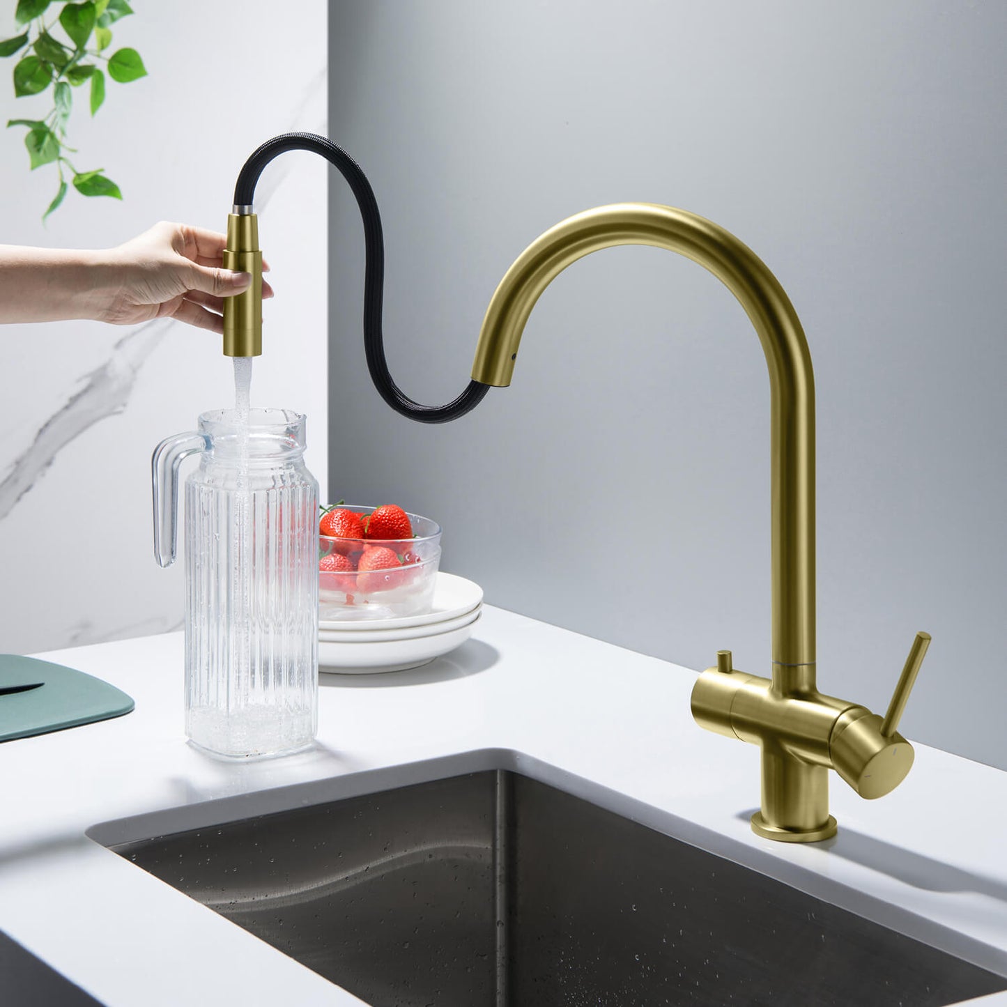 Premium Pull-Down Kitchen Faucet with Drinking Water Function FF2013