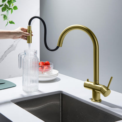 Premium Pull-Down Kitchen Faucet with Drinking Water Function FF2013