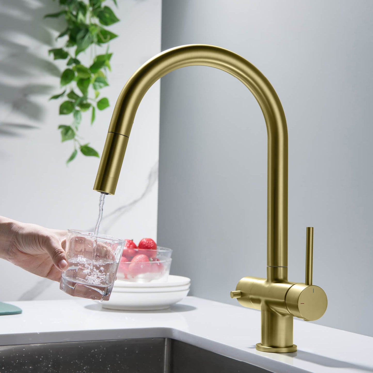 Premium Pull-Down Kitchen Faucet with Drinking Water Function FF2013