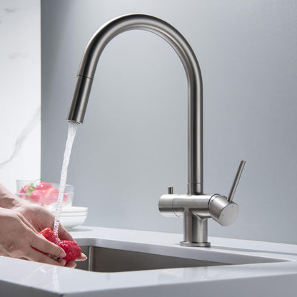 Premium Pull-Down Kitchen Faucet with Drinking Water Function FF2013