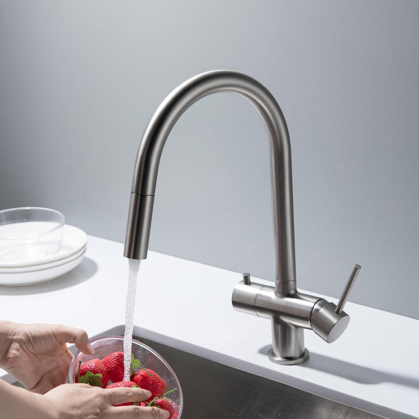 Premium Pull-Down Kitchen Faucet with Drinking Water Function FF2013