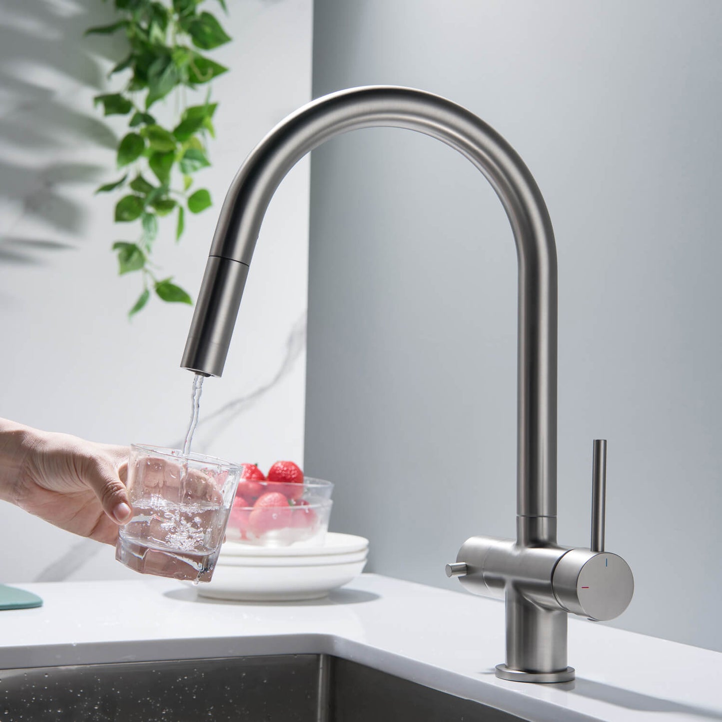 Premium Pull-Down Kitchen Faucet with Drinking Water Function FF2013